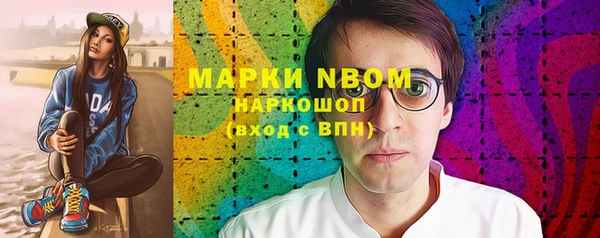 PSILOCYBIN Белокуриха