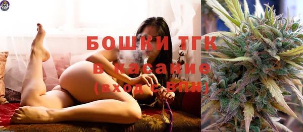PSILOCYBIN Богородицк