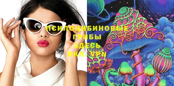 сатива Бугульма