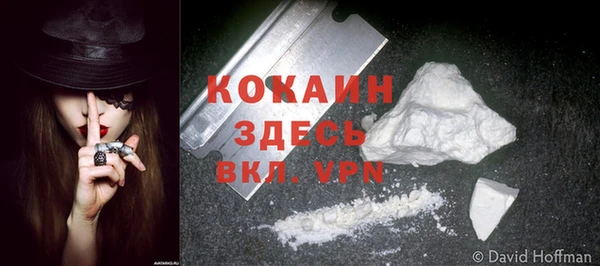 PSILOCYBIN Богородицк